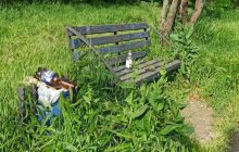 Улицы превратились в заросли: ужасные реалии жизни в оккупированном Мариуполе (фото)