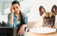 Жінка годує собаку зі звичайних тарілок і не розуміє, чому її вважають огидною