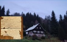 Чоловік втратив дар мови, виявивши 100-річну записку від солдата, заховану під килимом