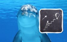 Геній з орлиними очима зможе помітити дельфіна на пляжі за 6 секунд: головоломка для уважних