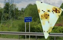 В польському місті-хабі поставок зброї в Україну зросла кількість загиблих від "хвороби легіонерів"