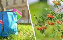 1 сентября жара практически покинет Украину, но будет много дождей и гроз (карта)