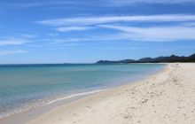 Туриста арештували після того, як поліція знайшла в його багажнику "сувеніри": що це було