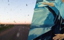 Как очистить лобовое стекло от налета и мошек: ТОП-3 копеечных средства