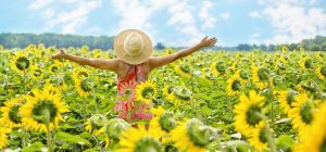 Что отмечаем в августе: сколько выходных даст День Независимости