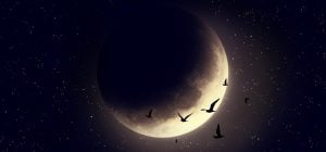 Таємниці, скандали і викриття: астрологиня попередила про небезпеку в молодик