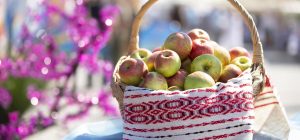 С Яблочным Спасом: красивые открытки и душевные пожелания к празднику