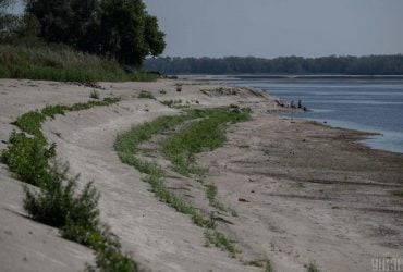 Пустыни не будет: на месте Каховского водохранилища восстанавливается уникальная растительность