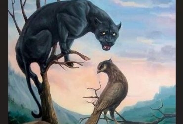 У TikTok завірусилась нова оптична ілюзія, яка розкриває характер (фото)