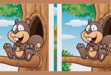 Весела білка: ця оптична ілюзія по зубах тільки одиницям