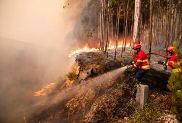 В Португалии +46°: страну охватили масштабные пожары