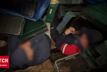 "Їхали збирати чорницю": ухилянтів від військової служби спіймали біля кордону