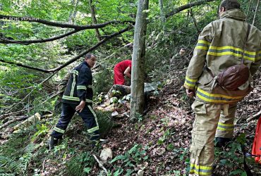 У Карпатах киянка зірвалася зі схилу під час їзди на квадроциклі (фото)
