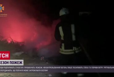 На Дніпропетровщині палає сухостій - перевантажені рятувальники не можуть все охопити