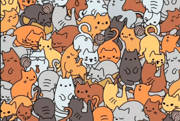 Головоломка для справжніх котолюбів: знайдіть мишку серед котів за 6 секунд