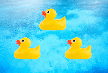 Гений найдет уникальных уточек за 4 секунды: головоломка на внимательность