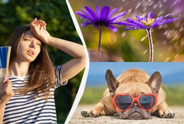 В среду в нескольких областях Украины покапают дожди (карта)