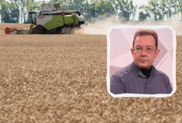 Отсутствие зернового коридора сдержит цены, но убьет украинских аграриев, - эксперт