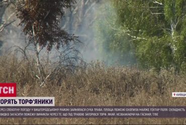 На Київщині горять торф'яники: пожежа охопила майже гектар поля