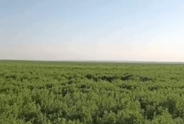 У Зеленского показали, как сейчас выглядит Каховское водохранилище (видео)