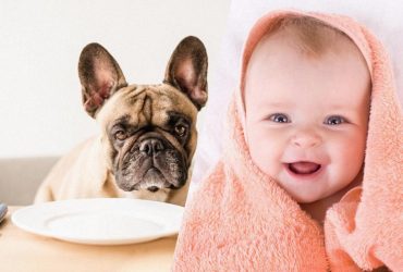 Мужчина нашел сильное имя для ребенка, но понял, что так называют собак