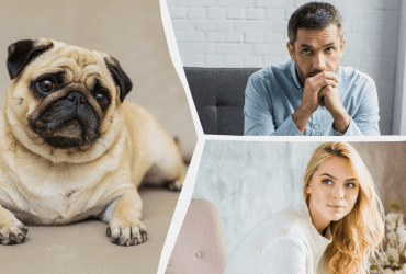 Собаки - сексисты: ученые получили неожиданный результат исследования