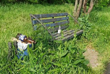 Улицы превратились в заросли: ужасные реалии жизни в оккупированном Мариуполе (фото)