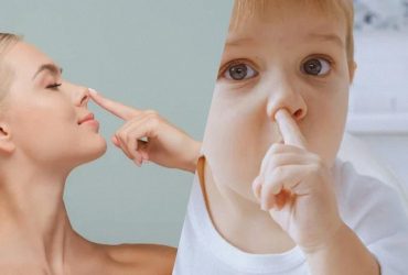 Как форма носа влияет на успешность: пройдите тест и узнайте свои возможности