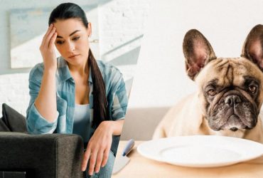 Жінка годує собаку зі звичайних тарілок і не розуміє, чому її вважають огидною