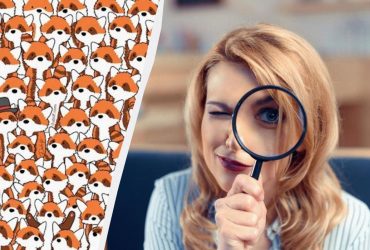 Очень сложная оптическая иллюзия: найдите 3 лисиц среди панд за 10 секунд