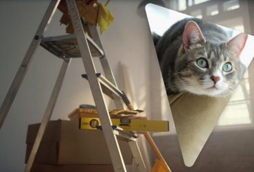 Кот ворвался в дом соседей и нанес ущерб на абсурдно большую сумму: что он сделал