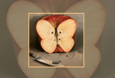 Тест - что вы видите на картинке определит ваш самый сильный страх