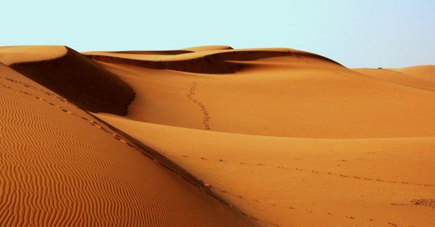 NASA обнаружило в пустыне загадочные круги в самом сердце Саудовской Аравии (фото) Kép