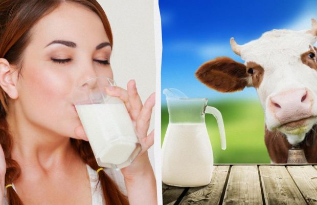 Чи можна пити рослинне молоко щодня: чим воно корисне, а кому може нашкодити