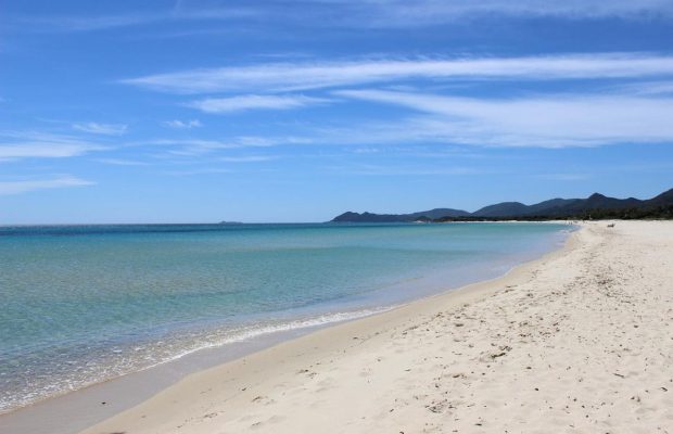 Туриста арестовали после того, как полиция нашла в его багажнике "сувениры": что это было