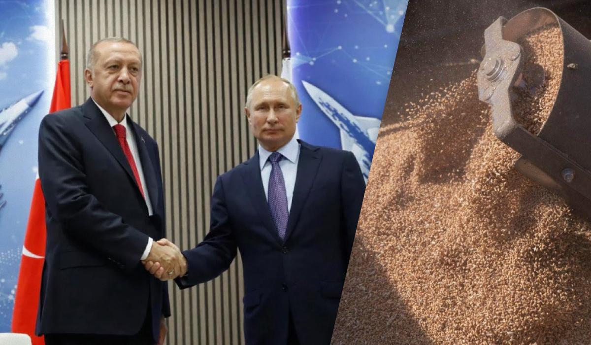 Перемовини Ердогана та Путіна не наблизили відновлення роботи зернового коридору/ колаж УНІАН, фото REUTERS, УНІАН