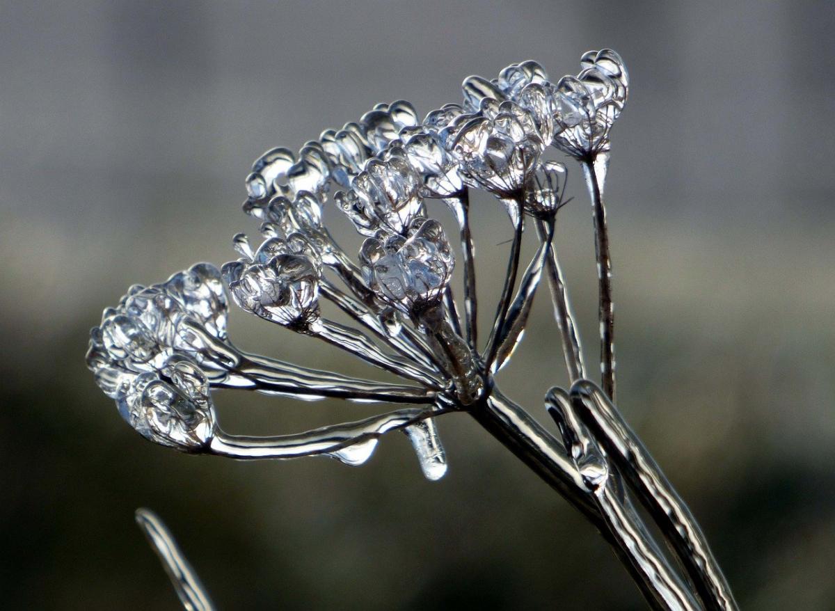 Синоптики предупредили об опасном погодном явлении в Украине / фото Eric Michelat/Pixabay Синоптики предупредили об опасном погодном явлении в Украине / фото Eric Michelat/Pixabay