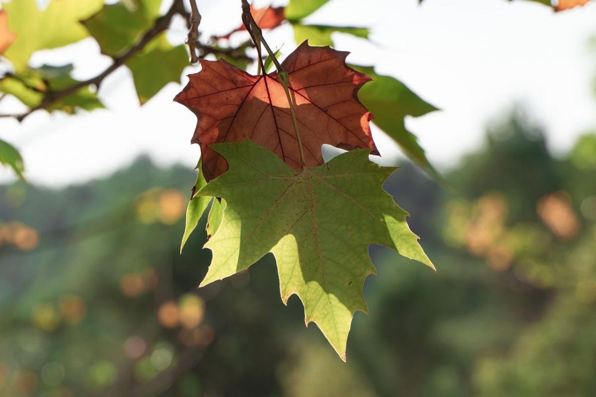 https://images.unian.net/photos/2023_09/1694194844-5717.jpg?r=484379