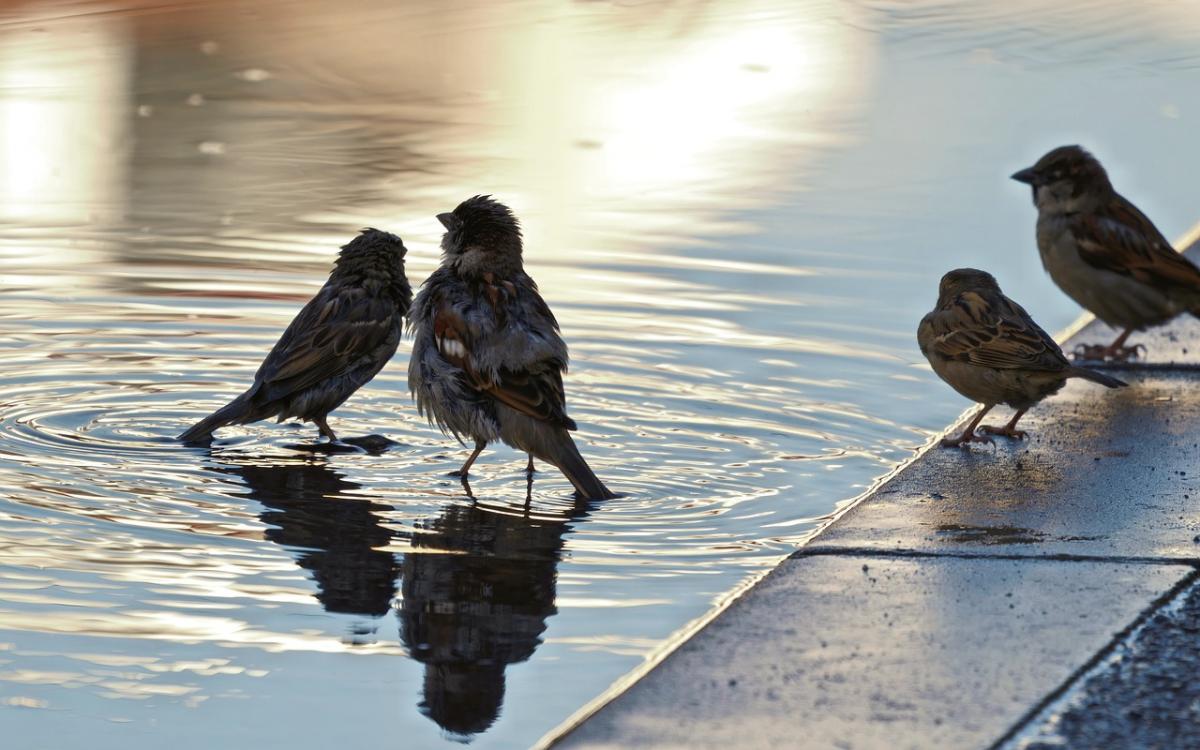 Погода в Киеве 11 декабря изменится, спрогнозировала известный синоптик / фото Pixabay Погода в Киеве 11 декабря изменится, спрогнозировала известный синоптик / фото Pixabay