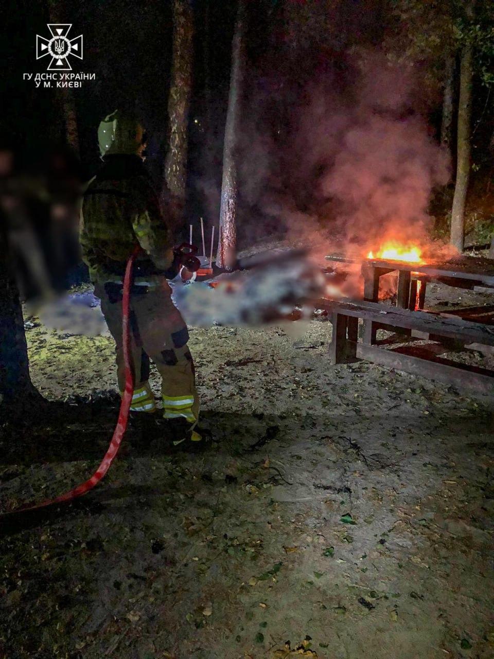 Пожарные гасили возгорание на месте падения обломков / фото t.me/dsns_telegram Пожарные гасили возгорание на месте падения обломков / фото t.me/dsns_telegram