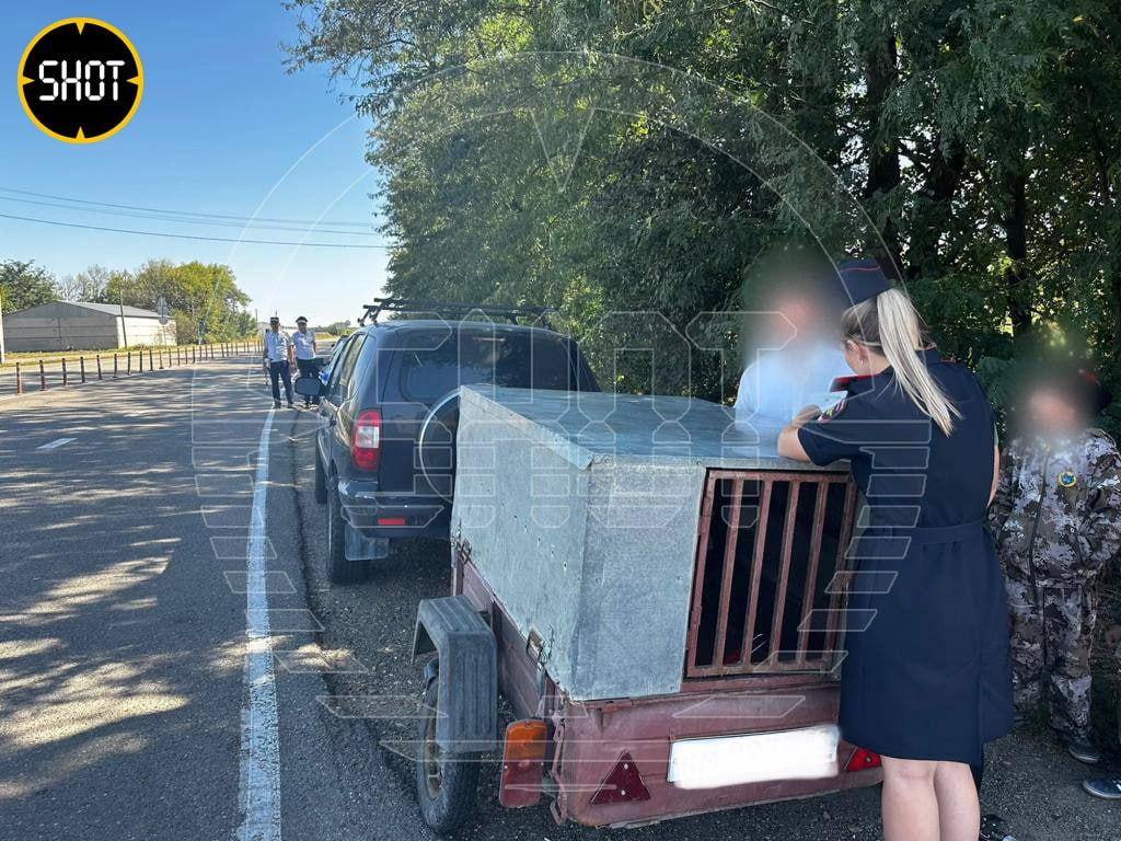 В РФ женщина упекла детей в клетку / t.me/shot_shot В РФ женщина упекла детей в клетку / t.me/shot_shot