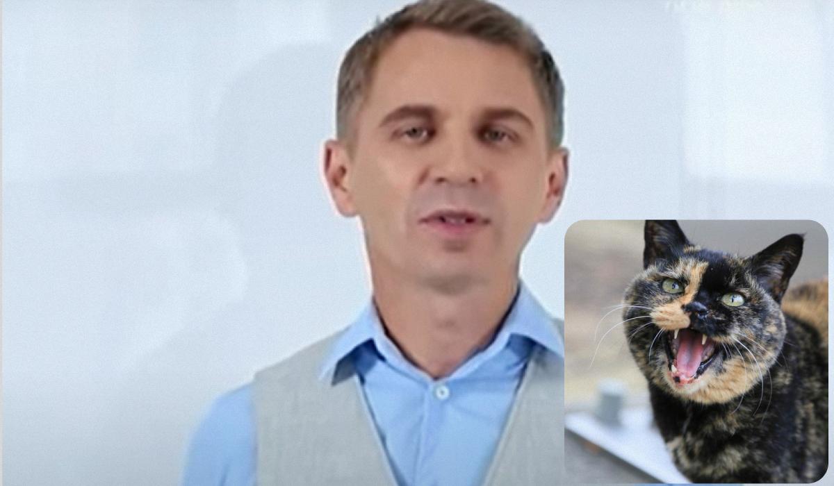 "Бросаться в глаза" может только свирепый котенок, отметил языковед / коллаж УНИАН, фото flickr.com/taniuniyana, скриншот "Бросаться в глаза" может только свирепый котенок, отметил языковед / коллаж УНИАН, фото flickr.com/taniuniyana, скриншот