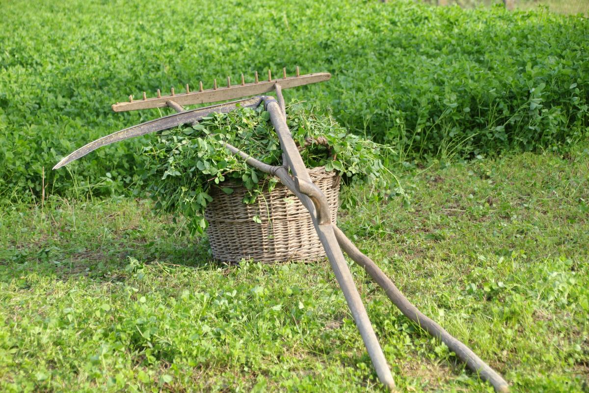 яке свято 3 серпня