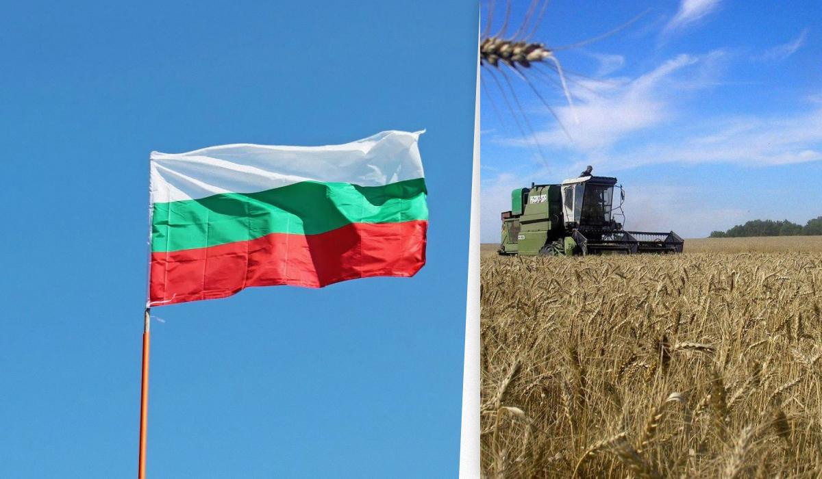 Болгария вводит ограничения на импорт украинского зерна / коллаж УНИАН, фото УНИАН, Владимир Лях, фото ua.depositphotos.com Болгария вводит ограничения на импорт украинского зерна / коллаж УНИАН, фото УНИАН, Владимир Лях, фото ua.depositphotos.com