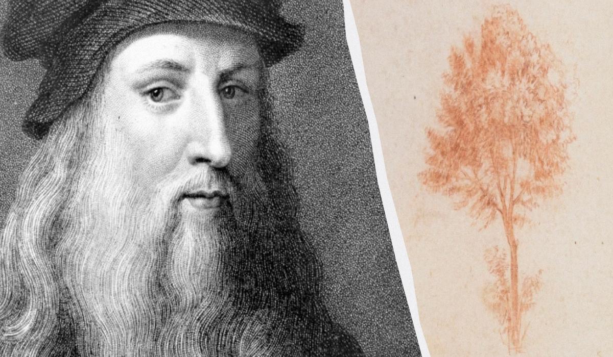 Да Винци оказался не прав, ученые развенчали его "правило деревьев" / коллаж УНИАН, фото artgallery.bg, Wikimedia Да Винци оказался не прав, ученые развенчали его "правило деревьев" / коллаж УНИАН, фото artgallery.bg, Wikimedia