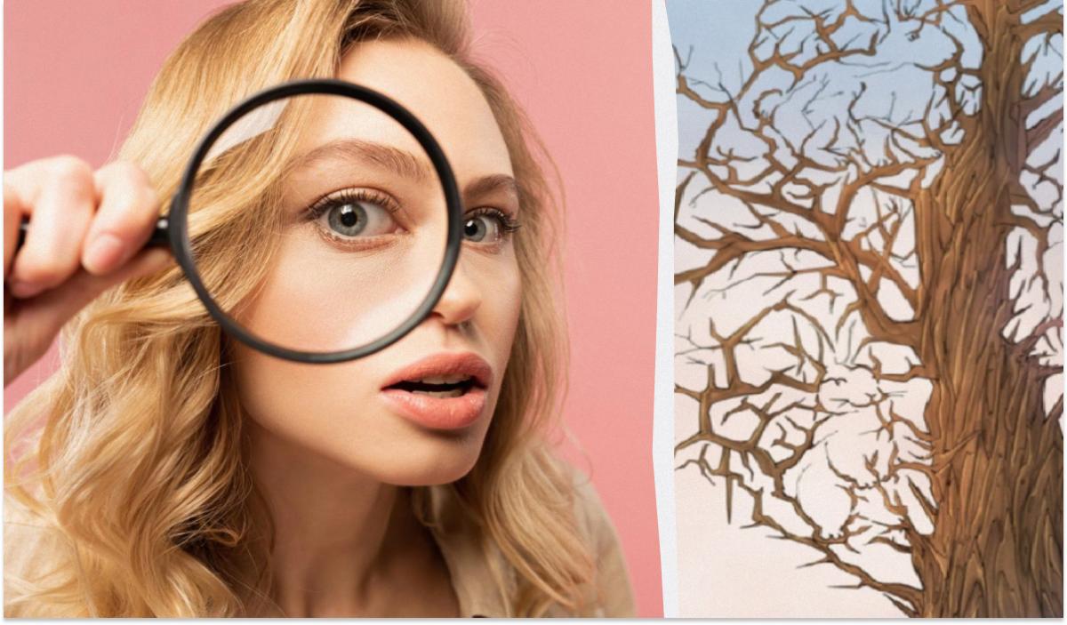 Оптическая иллюзия для самых внимательных / коллаж УНИАН, фото ua.depositphotos.com, Bright Side Оптическая иллюзия для самых внимательных / коллаж УНИАН, фото ua.depositphotos.com, Bright Side