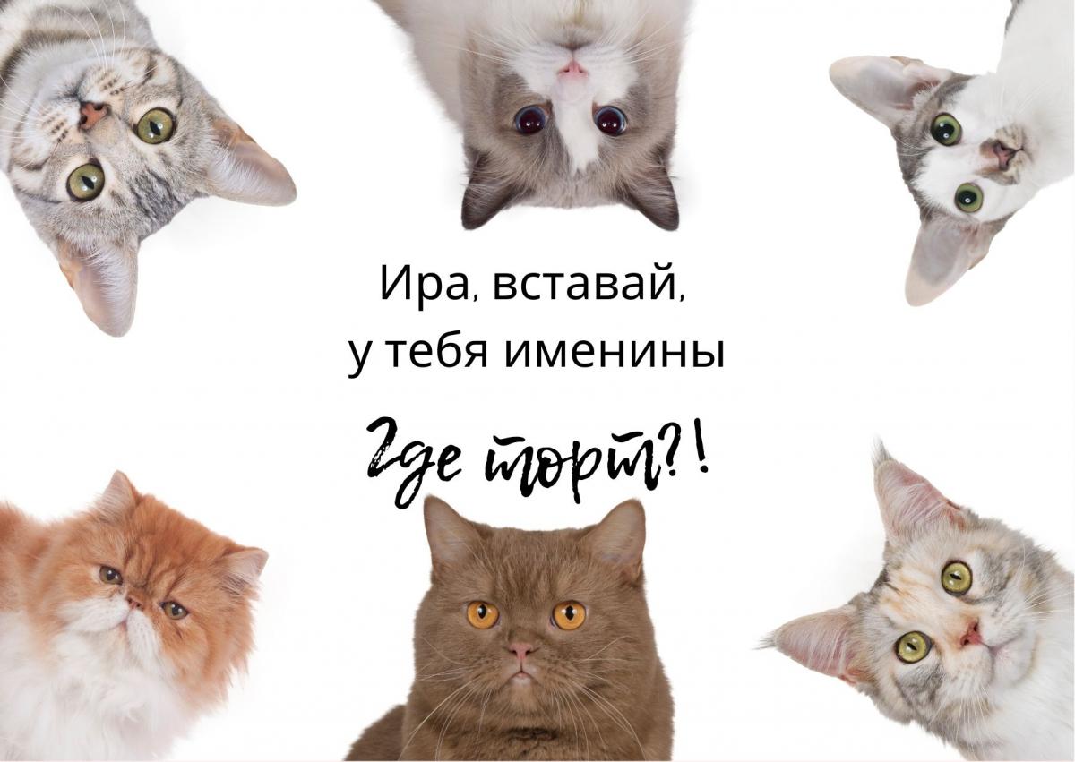 Именины Ирины 2023 / canva.com Именины Ирины 2023 / canva.com
