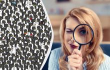 Тільки найуважніші зможуть знайти 3 чорних кішок серед пінгвінів за 20 секунд