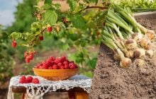 Счастливый день для женщин: приметы в народный праздник 4 сентября