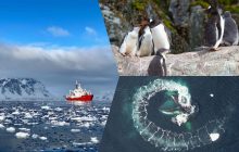 Складно, але реально: українські полярники поділилися цікавими фактами про антарктичний туризм